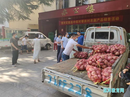 黨建引領消費扶貧，助力脫貧攻堅——漯河實驗高中開展結對幫扶村農副產品銷售活動