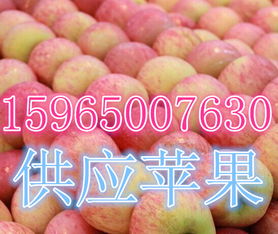 莒縣傲翔農(nóng)副產(chǎn)品購(gòu)銷處 探索海量高清圖片庫(kù)，展現(xiàn)農(nóng)副產(chǎn)品的天然魅力