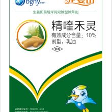 阜陽(yáng)恒轅農(nóng)副產(chǎn)品加工有限責(zé)任公司 農(nóng)產(chǎn)品銷售的專業(yè)之道